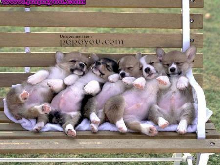 eux aussi sont relax!
